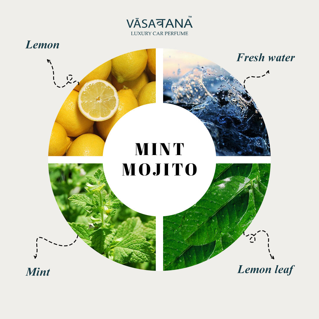 Vāsaवana (VasaVana) Luxury Car Perfume - Mint Mojito