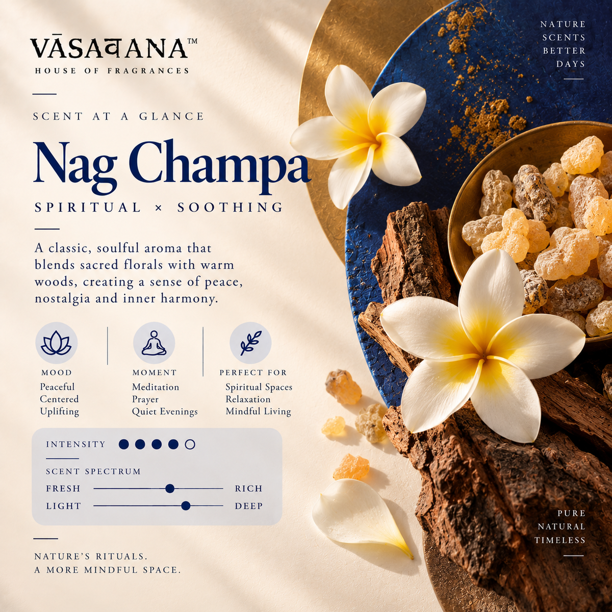 Nag Champa Incense Sticks – Pack of 30 | Vasavana
