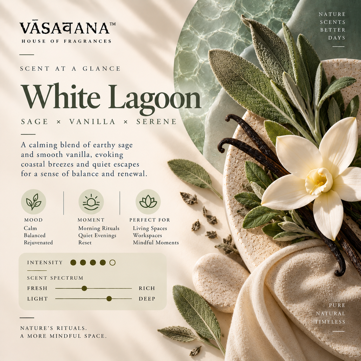 White Lagoon Incense Sticks – Pack of 30 | Vasavana