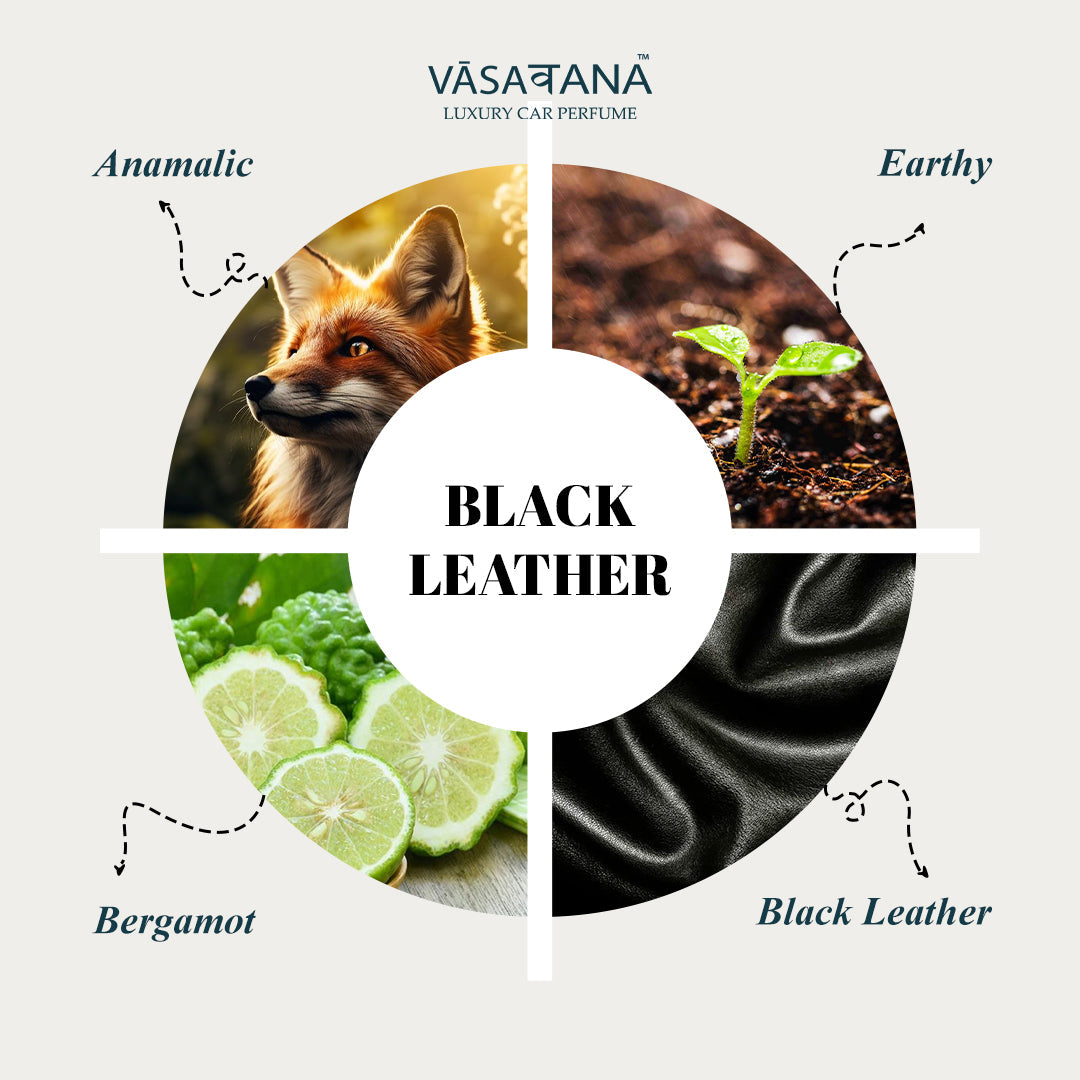 Vāsaवana (VasaVana) Luxury Car Perfume - Black Leather