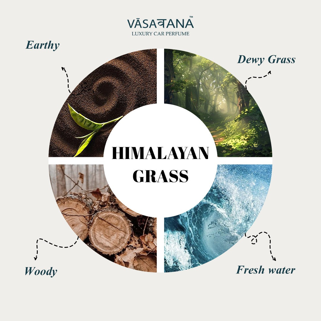 Vāsaवana (Vasavana) Luxury Car Perfume - Himalayan Grass Dew