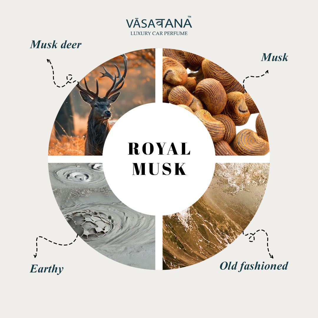 Vāsaवana (Vasavana) Luxury Car Perfume - Royal Musk